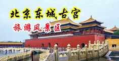 狂操猛插中国北京-东城古宫旅游风景区
